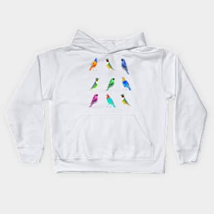 BIRDS Kids Hoodie